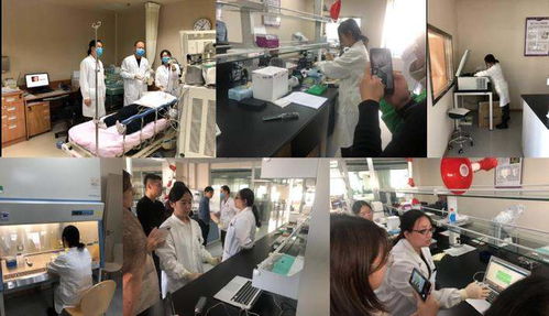 一手緊抓檢測試劑，一手研發智能終端 源生康泰雙管齊下的生物技術攻堅戰